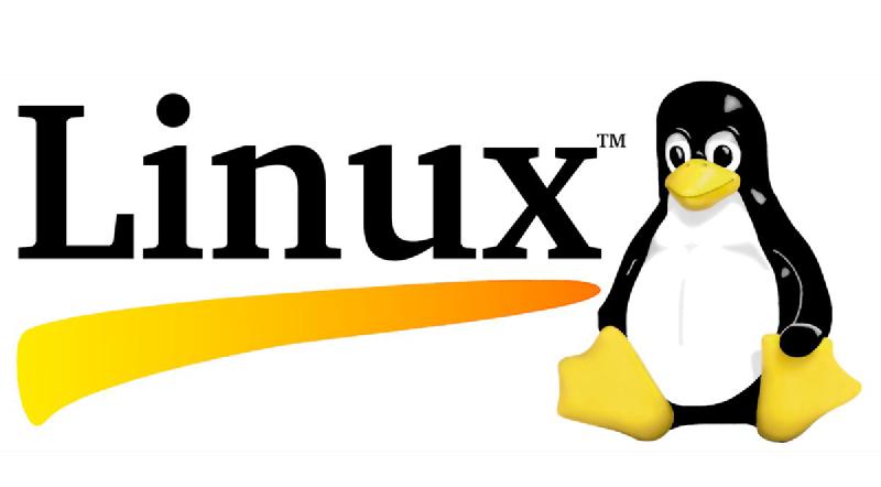 Featured image of post 我的Linux